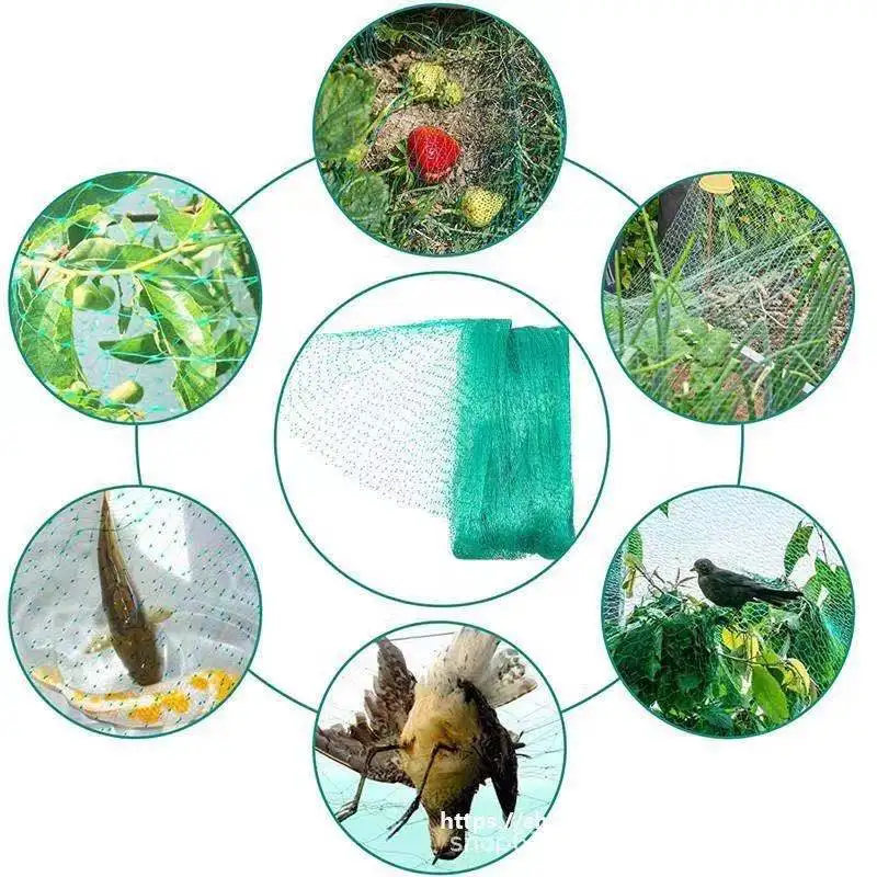 10m 20m,50m Agricultural protection network Gardening net Garden fence Bird net Breeding net Customize your size
10m 20m,50m Agricultural protection network Gardening net Garden fence Bird net Breeding net Customize your size