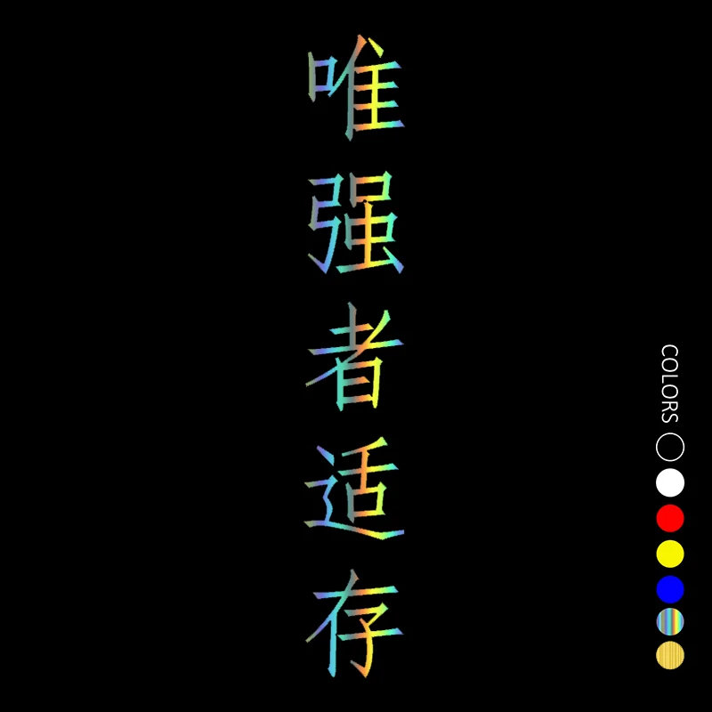 30637#Various Sizes car sticker Chinese Hieroglyph the strongest survives Vinyl decal waterproof stickers on bumper rear window
30637#Various Sizes car sticker Chinese Hieroglyph the strongest survives Vinyl decal waterproof stickers on bumper rear window