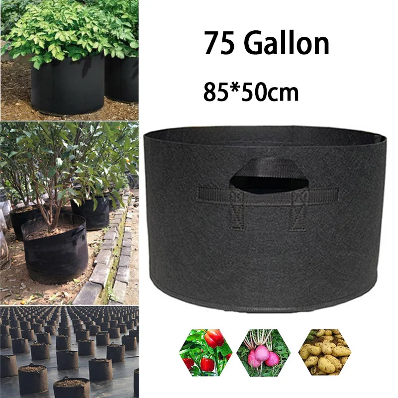 75 Gallon Hand Held Plant Grow Bags Fabric Pot Jardim Orchard and Garden Flowers Plant Growing Container Gardening Tools
75 Gallon Hand Held Plant Grow Bags Fabric Pot Jardim Orchard and Garden Flowers Plant Growing Container Gardening Tools