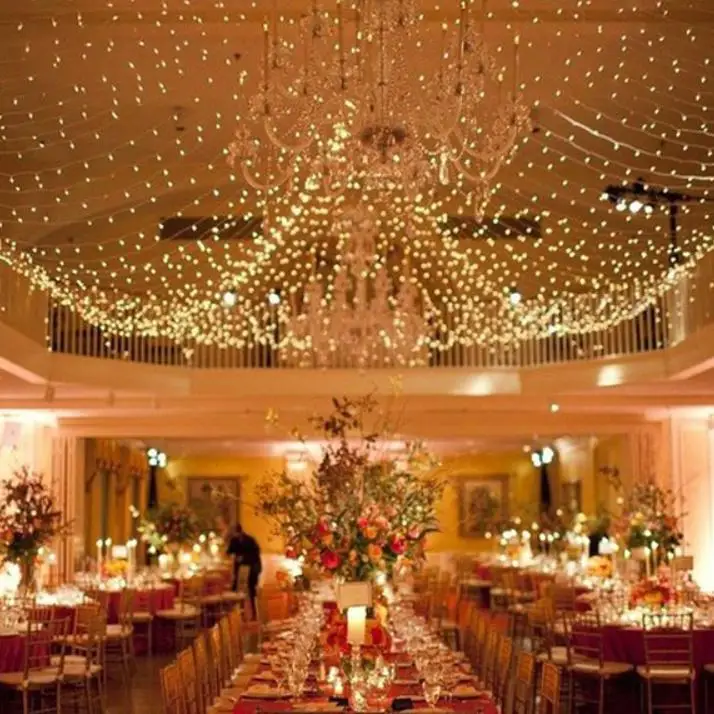 Wedding Decorations Outdoor Indoor Festival String Lights 4M 6m net LED Colorful String Lights 220v 110v Christmas String New Ye
Wedding Decorations Outdoor Indoor Festival String Lights 4M 6m net LED Colorful String Lights 220v 110v Christmas String New Ye