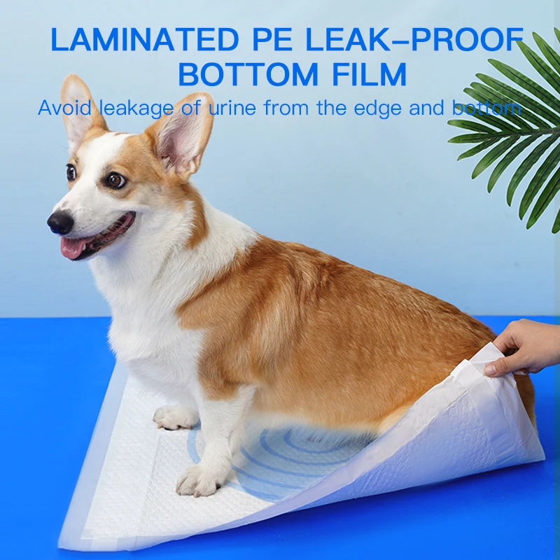 High Quality Target Diapers For Dog Disposable Dog Vampires Super Absorbent Training Pee Pads Nappy Mat For Cats Dog Diapers
High Quality Target Diapers For Dog Disposable Dog Vampires Super Absorbent Training Pee Pads Nappy Mat For Cats Dog Diapers
