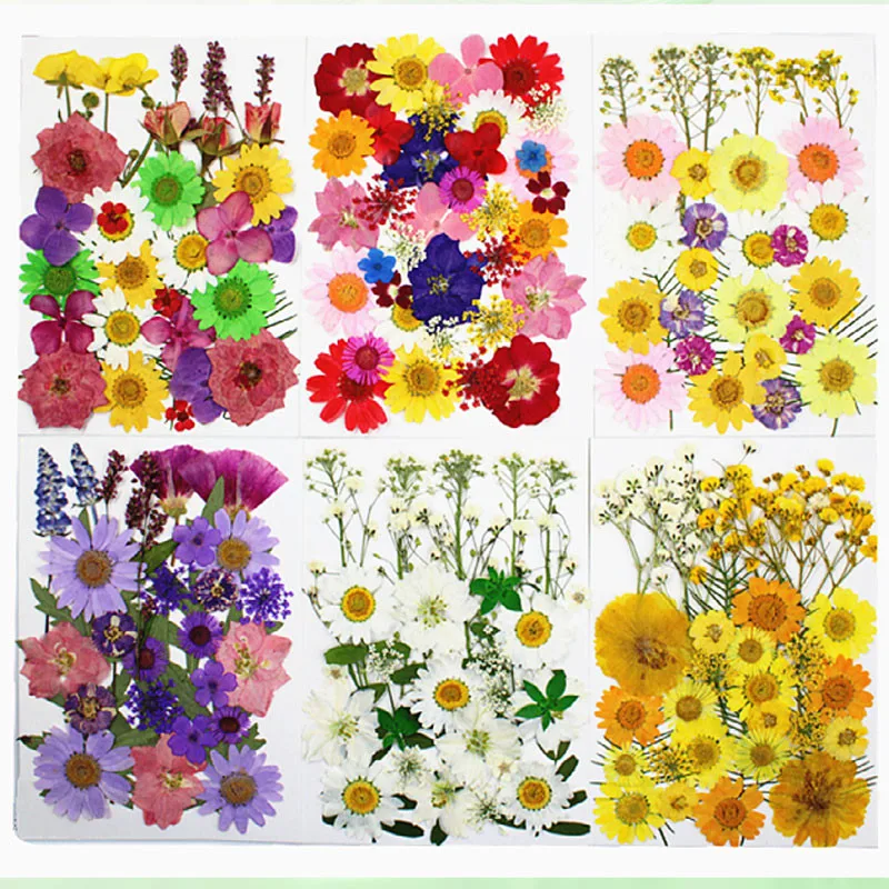 Mixed Plants for Dried Flower Painting, DIY Bookmark, Pressed Flowers, Free Shipping, 5 Bags
Mixed Plants for Dried Flower Painting, DIY Bookmark, Pressed Flowers, Free Shipping, 5 Bags