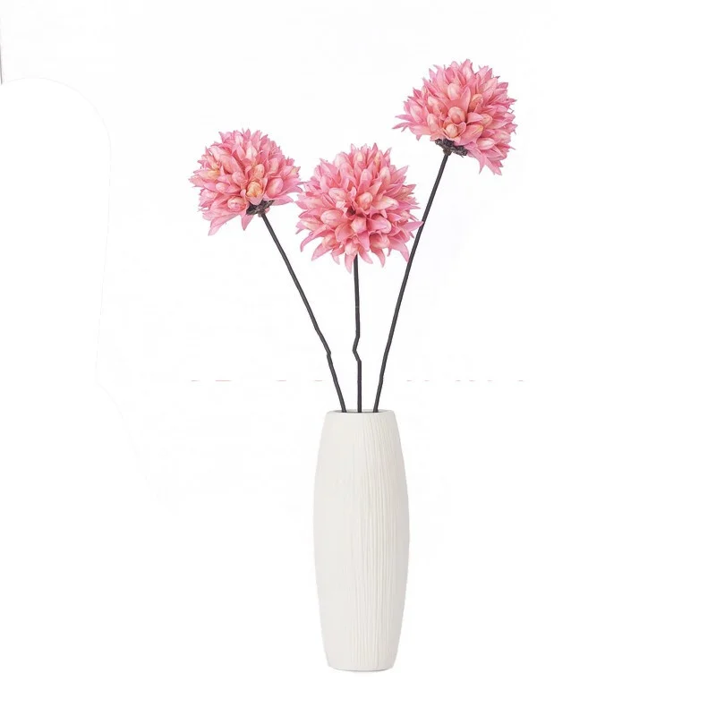 Hand-made Natural Dried Flowers Chiba Magnolia Modern Wedding Party Floor Decoration Flowers Simulation Flower Set Living Room
Hand-made Natural Dried Flowers Chiba Magnolia Modern Wedding Party Floor Decoration Flowers Simulation Flower Set Living Room