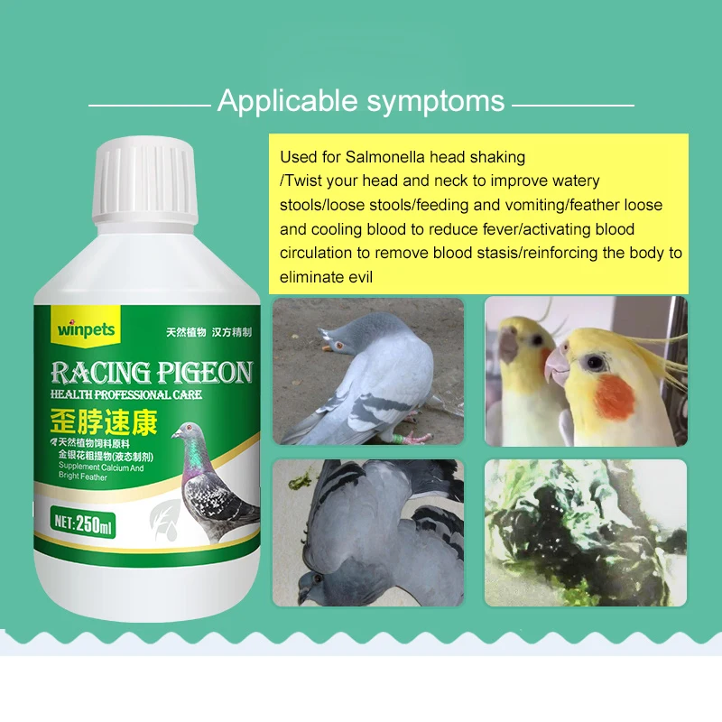 Parrot bird tilted head tilted neck medicine shakes head Newcastle disease salmonella water green stool for pigeons
Parrot bird tilted head tilted neck medicine shakes head Newcastle disease salmonella water green stool for pigeons