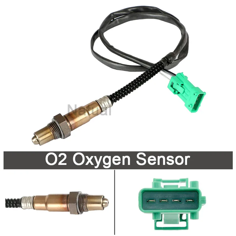 Front Lambda Oxygen O2 Sensor For Citroen Berlingo C2 C3 C4 C5 C8 DS3 DS4 DS5 Dispatch Relay Saxo Synergie Xantia ZX 1618HC
Front Lambda Oxygen O2 Sensor For Citroen Berlingo C2 C3 C4 C5 C8 DS3 DS4 DS5 Dispatch Relay Saxo Synergie Xantia ZX 1618HC