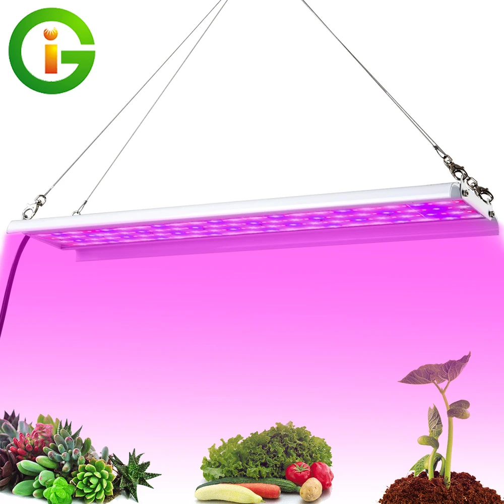 LED Grow Light 1000WFull Спектр высокой светоотдача фито лампы для Крытой Палатки парниковой гидропоники завода Цветка
LED Grow Light 1000WFull Спектр высокой светоотдача фито лампы для Крытой Палатки парниковой гидропоники завода Цветка