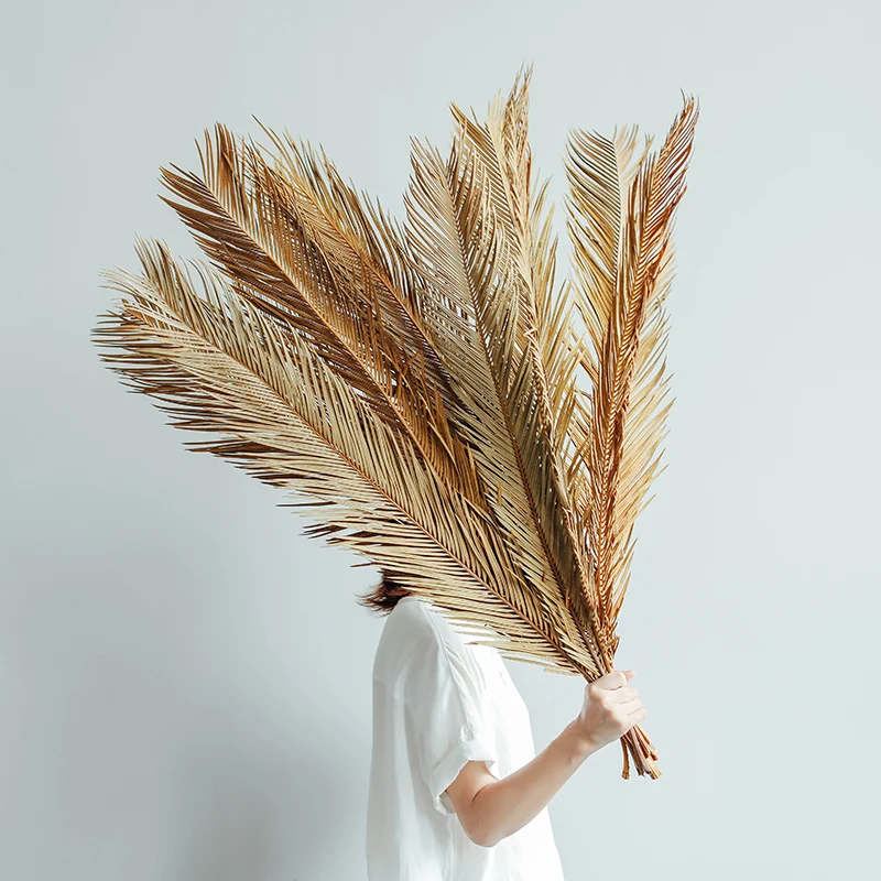 Fruticose Dracaena Leaf ,Natural Dried Plant Sago Cycas Branch,Dry Palm Fan Leaves,Party Wedding Home Table Decoration
Fruticose Dracaena Leaf ,Natural Dried Plant Sago Cycas Branch,Dry Palm Fan Leaves,Party Wedding Home Table Decoration