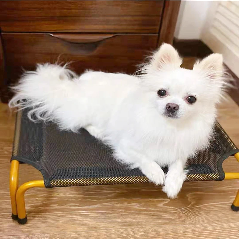 dog beds eco friendly for sale, manufacturers direct sale, cheap price, suitable for all kinds of dog.
dog beds eco friendly for sale, manufacturers direct sale, cheap price, suitable for all kinds of dog.