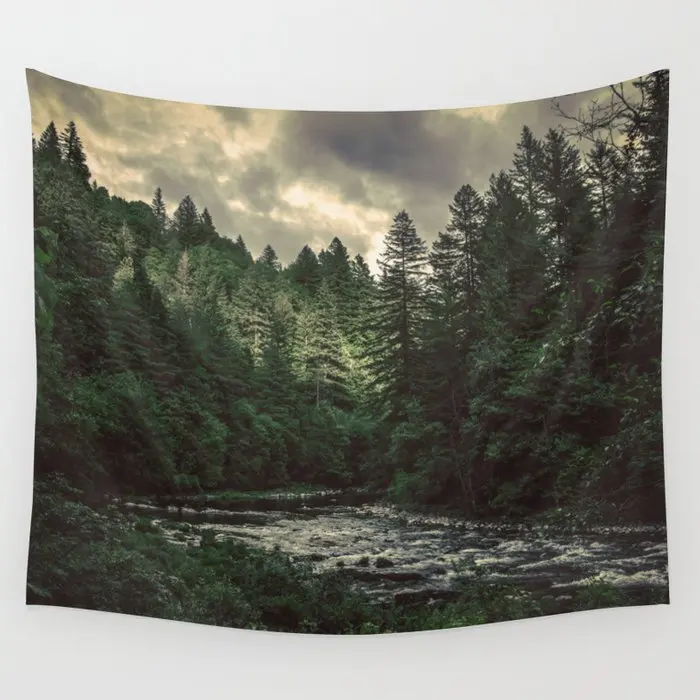 Pacific Northwest River Tapestry Background Wall Covering Home Decoration Blanket Bedroom Wall Hanging Tapestries
Pacific Northwest River Tapestry Background Wall Covering Home Decoration Blanket Bedroom Wall Hanging Tapestries