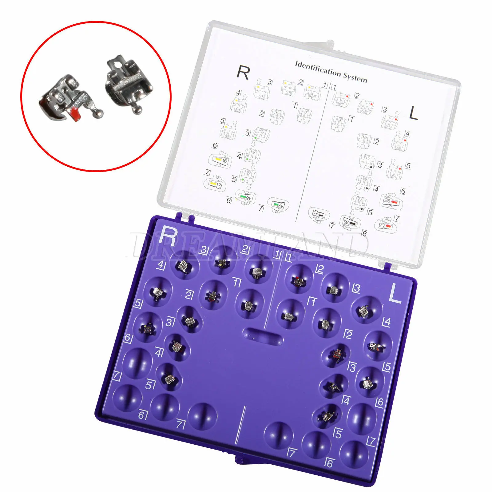 1Box Dental Orthodontic Metal Self-ligating Brackets Braces MINI Roth 022 345 Hooks
1Box Dental Orthodontic Metal Self-ligating Brackets Braces MINI Roth 022 345 Hooks