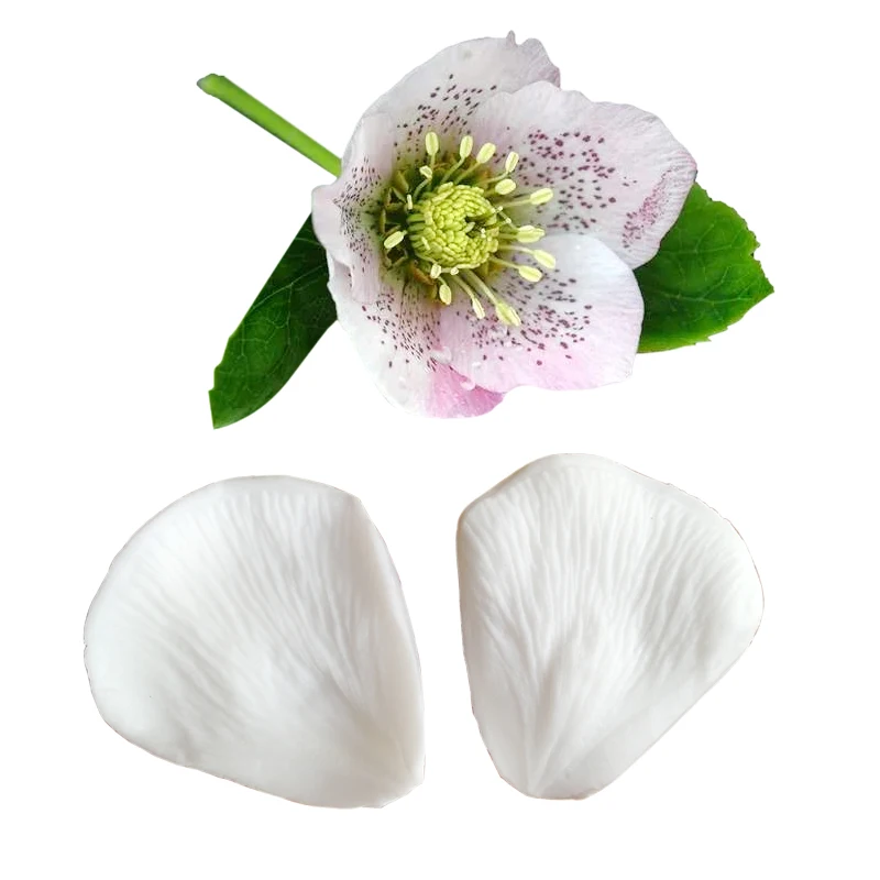 Hellebore Flower Veiners Silicone Molds Fondant Sugarcraft Gumpaste Resin Clay Water Paper Cake Decorating Tools M2186
Hellebore Flower Veiners Silicone Molds Fondant Sugarcraft Gumpaste Resin Clay Water Paper Cake Decorating Tools M2186