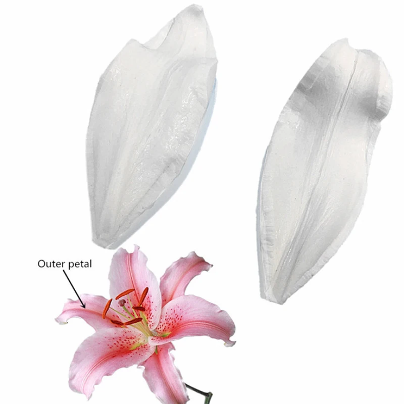 Lily Petals Mould Silicone Mold Fondant Cake Decorating Tool Gumpaste Sugarcraft Chocolate Forms Bakeware
Lily Petals Mould Silicone Mold Fondant Cake Decorating Tool Gumpaste Sugarcraft Chocolate Forms Bakeware