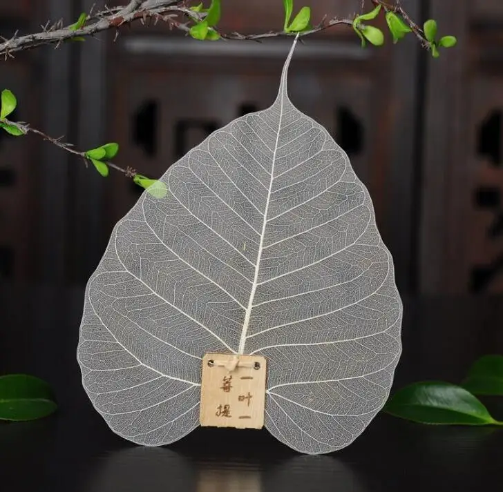 Bodhi Leaf Tea Filter Mesh Tea Infuser Reusable Strainer Loose Leaf Filter Creative Net Kongfu Tea Accessory #202199
Bodhi Leaf Tea Filter Mesh Tea Infuser Reusable Strainer Loose Leaf Filter Creative Net Kongfu Tea Accessory #202199