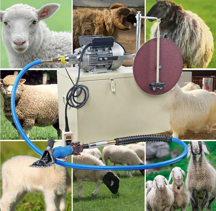 Electric Sheep Pet Hair Clipper Shearing Kit Shear Wool Cut Goat Pet Animal Shearing Supplies Farm Cut Machine Soft shaft shear
Electric Sheep Pet Hair Clipper Shearing Kit Shear Wool Cut Goat Pet Animal Shearing Supplies Farm Cut Machine Soft shaft shear