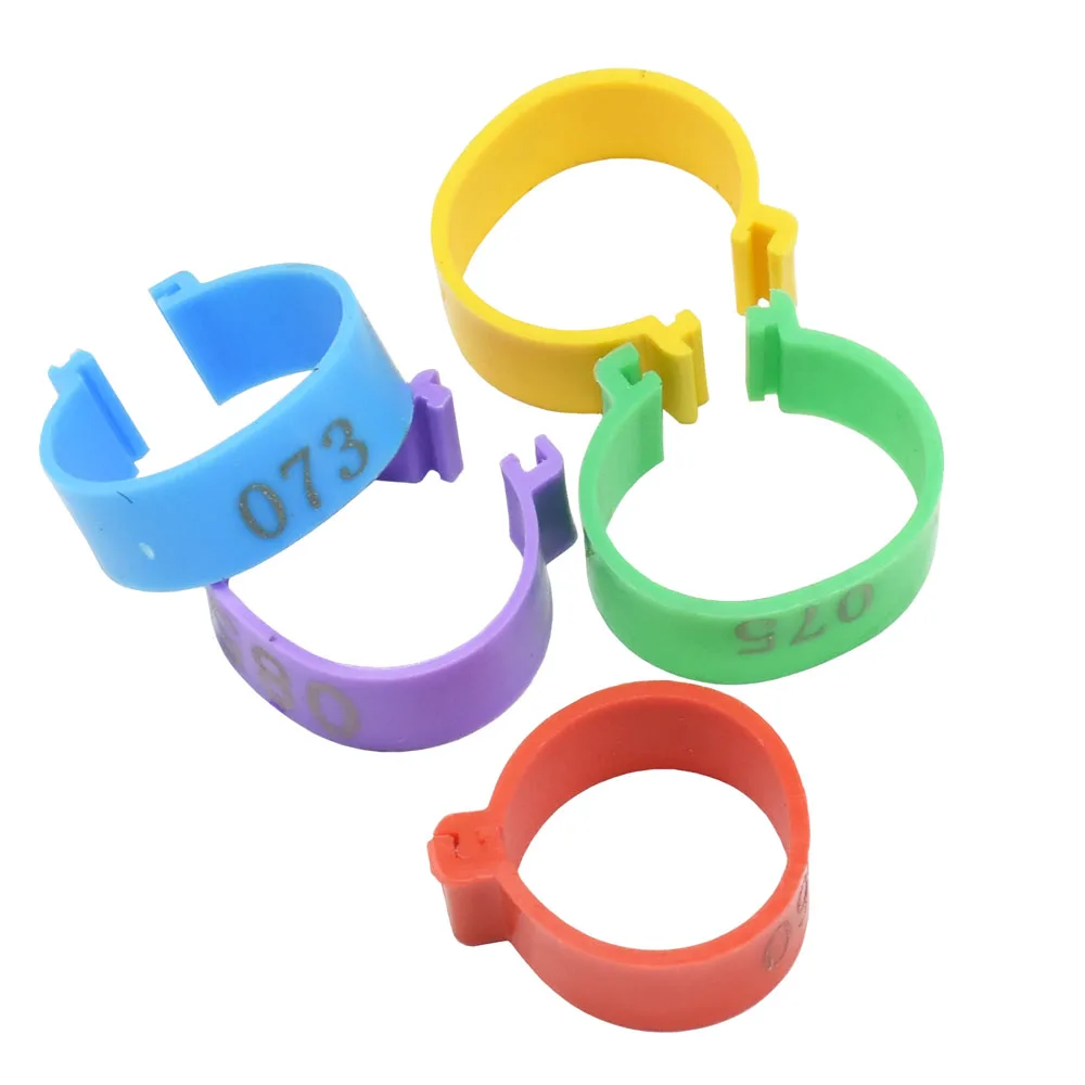 5 Colors 25 mm Digital foot ring NO.001-500 Poultry Buckle type Clip rings Farm equipment Chicken Identification ring 100 Pcs
5 Colors 25 mm Digital foot ring NO.001-500 Poultry Buckle type Clip rings Farm equipment Chicken Identification ring 100 Pcs