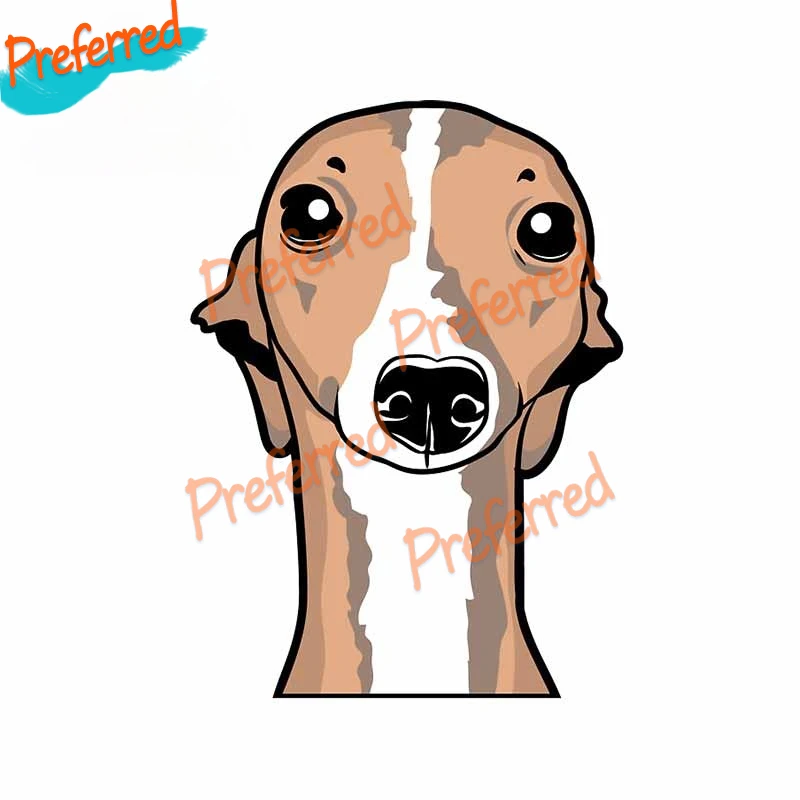 Итальянская наклейка «Greyhounds» для мотокросса, гоночного искусства, Настенная Виниловая наклейка для автомобиля, высекающая водостойкая ПВХ
Итальянская наклейка «Greyhounds» для мотокросса, гоночного искусства, Настенная Виниловая наклейка для автомобиля, высекающая водостойкая ПВХ