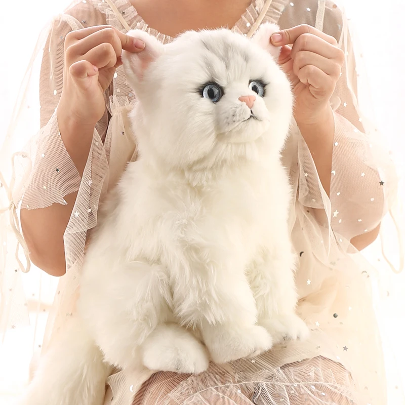 Cute Simulation Animal Cat Plush Toy Realistic Cat Doll Appease Sleeping Pillow Christmas Birthday Gift 28cm DY50769
Cute Simulation Animal Cat Plush Toy Realistic Cat Doll Appease Sleeping Pillow Christmas Birthday Gift 28cm DY50769