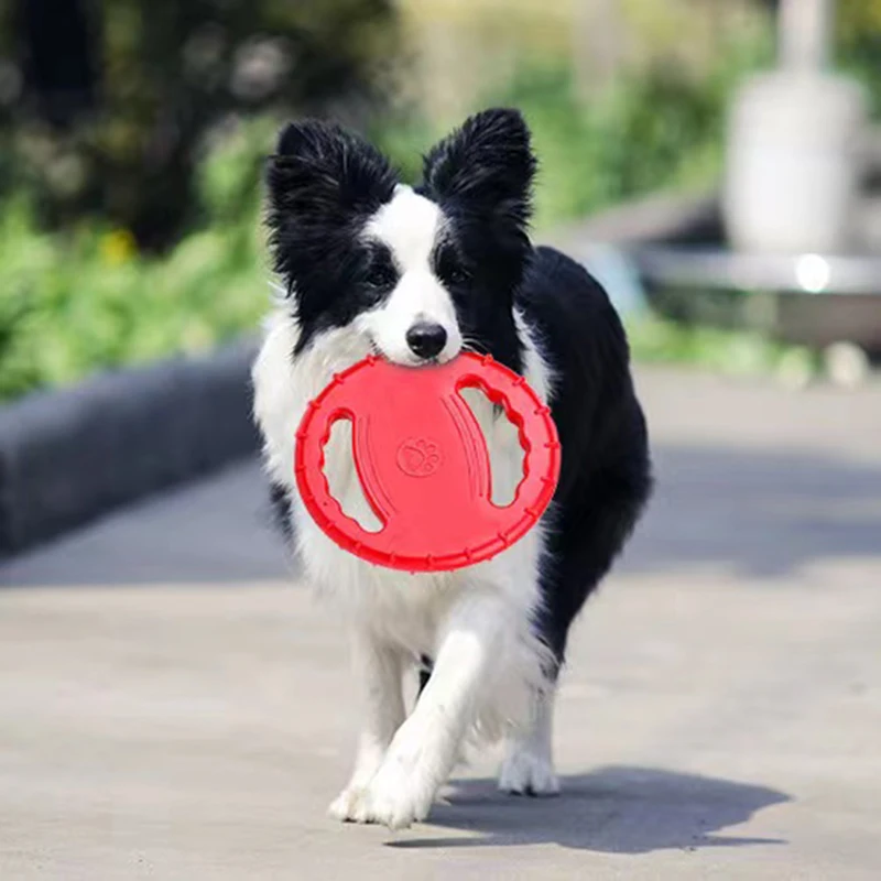 1PCS Diameter 19.5cm Pet Toys New Small Medium Large Dog Flying Discs Training Interactive Toy Puppy Rubber Fetch Flying Discs
1PCS Diameter 19.5cm Pet Toys New Small Medium Large Dog Flying Discs Training Interactive Toy Puppy Rubber Fetch Flying Discs