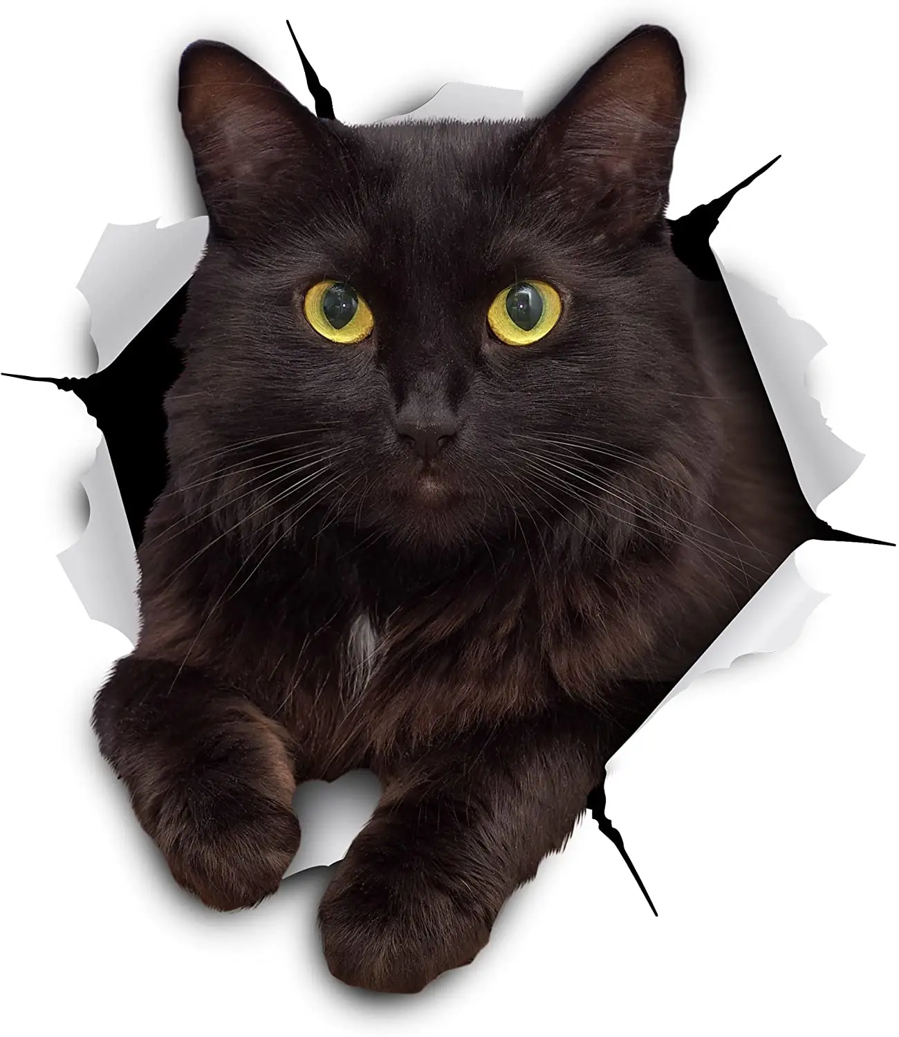 Creative Animal Black Cat Torn Metal Car Sticker Waterproof Personalized Decal Laptop Motorcycle Auto Accessories PVC14*13cm
Creative Animal Black Cat Torn Metal Car Sticker Waterproof Personalized Decal Laptop Motorcycle Auto Accessories PVC14*13cm