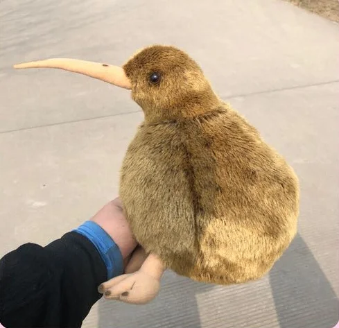cute brown kiwi bird plush toy simulation kiwi bird soft doll kids toy throw pillow car decoration birthday gift h0697
cute brown kiwi bird plush toy simulation kiwi bird soft doll kids toy throw pillow car decoration birthday gift h0697