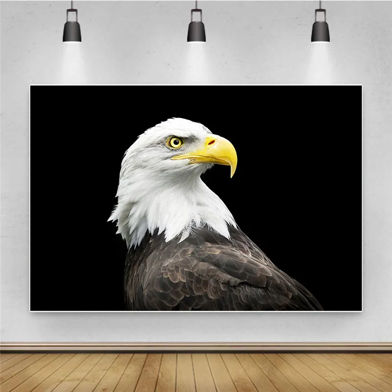 Фотография 3D Животные Орл Печатные фоны фото тонкий Виниловый фон для фотостудии
Фотография 3D Животные Орл Печатные фоны фото тонкий Виниловый фон для фотостудии