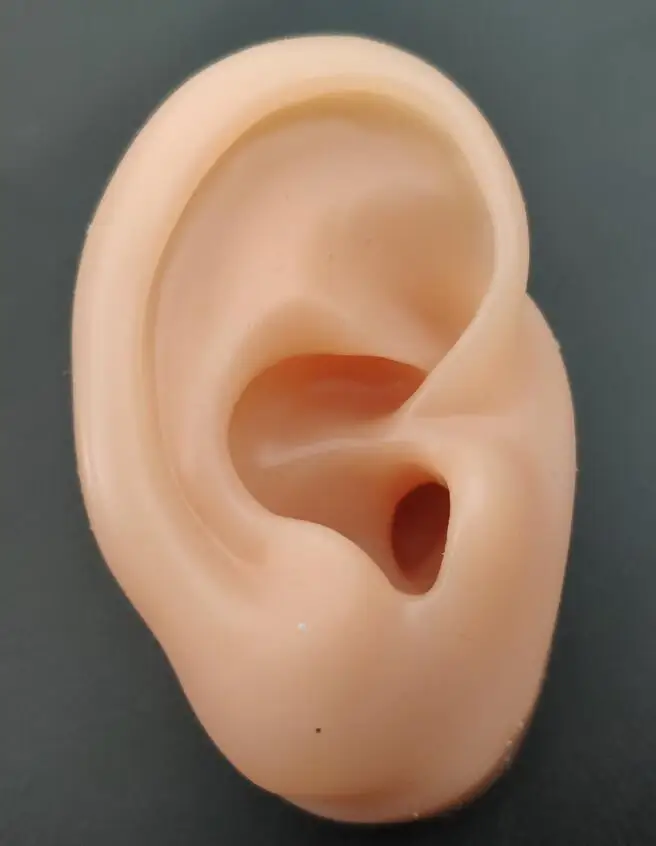 Silicone Simulation Ear Model Hearing Aid Ear Display acupuncture masage Silicone Ears
Silicone Simulation Ear Model Hearing Aid Ear Display acupuncture masage Silicone Ears