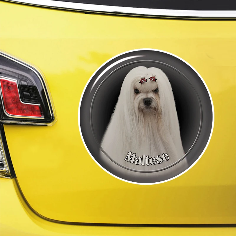 Maltese Dog Self-adhesive Decal Car Sticker Waterproof Auto Decors on Bumper Rear Window Laptop #S60973
Maltese Dog Self-adhesive Decal Car Sticker Waterproof Auto Decors on Bumper Rear Window Laptop #S60973