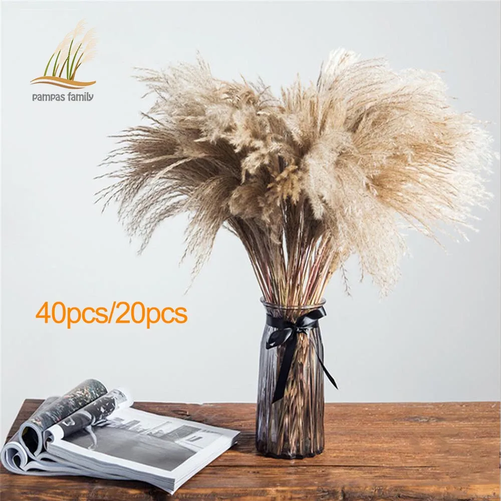 Dried Pampas Grass Plants Feather Natural Phragmites Flowers Bouquets Tall 19-22‘’ Flower Arrangement Wedding Home Decor
Dried Pampas Grass Plants Feather Natural Phragmites Flowers Bouquets Tall 19-22‘’ Flower Arrangement Wedding Home Decor