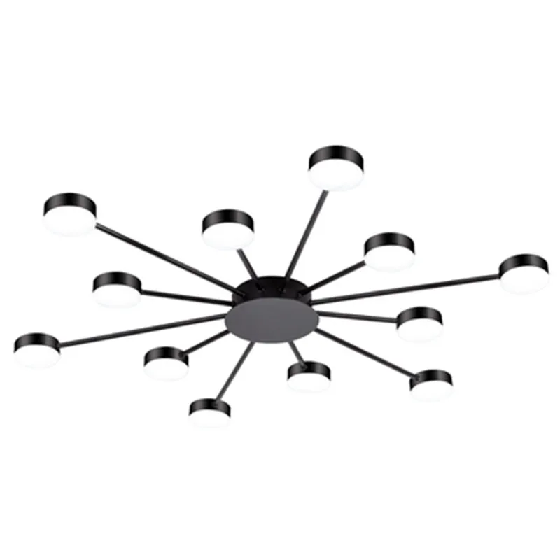 Novelty Metal Irregular Ceiling Lights For Foyer Black Ceiling Lamp Golden Surface Mounted Bedroom Lighting Fixture
Novelty Metal Irregular Ceiling Lights For Foyer Black Ceiling Lamp Golden Surface Mounted Bedroom Lighting Fixture