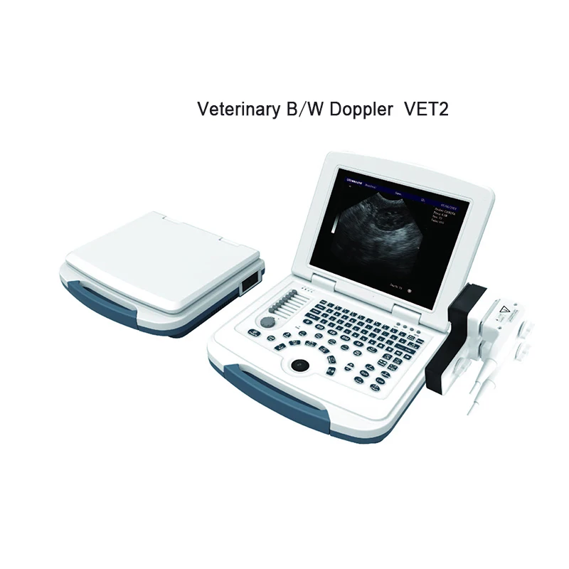 Portable New Black and White Super Veterinary Pet Clinic Animal Use Ultrasound Diagnosis High-definition Universal
Portable New Black and White Super Veterinary Pet Clinic Animal Use Ultrasound Diagnosis High-definition Universal