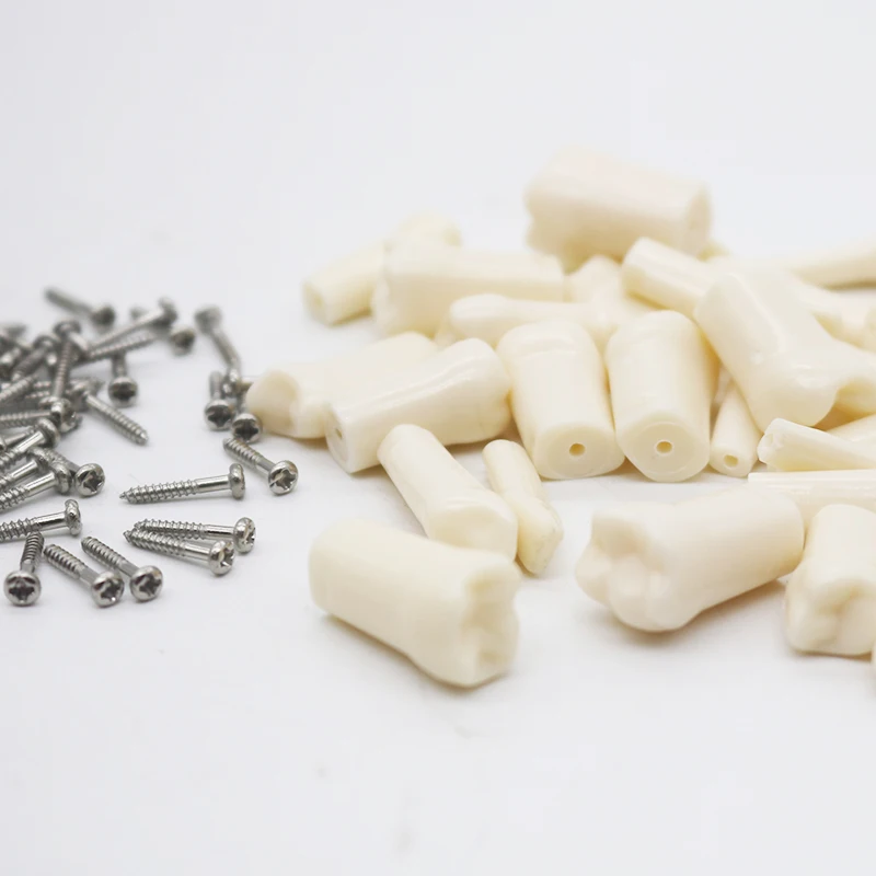 3bag Resin Tooth Simulation Dentifrice Dental Material Oral Consumables Isolated Teeth Practice Dental Exam Teaching Model
3bag Resin Tooth Simulation Dentifrice Dental Material Oral Consumables Isolated Teeth Practice Dental Exam Teaching Model