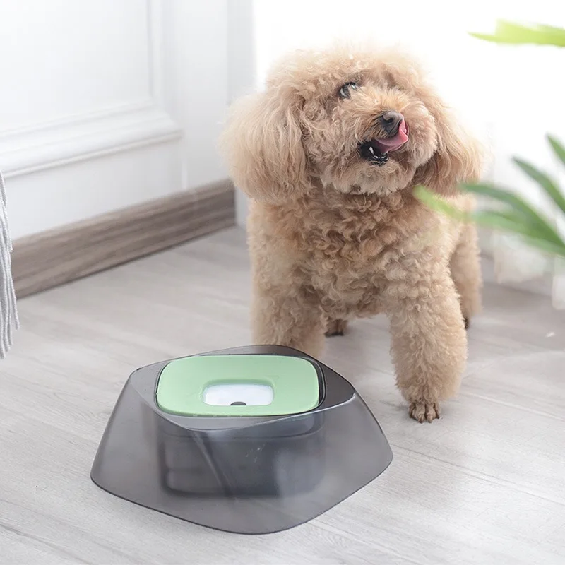 Cat Water Floating Bowl Diamond Feeder Dog Food Pet Products Pet Food Container Bowls Kitten Dish No Wet Mouth Large Capacity
Cat Water Floating Bowl Diamond Feeder Dog Food Pet Products Pet Food Container Bowls Kitten Dish No Wet Mouth Large Capacity