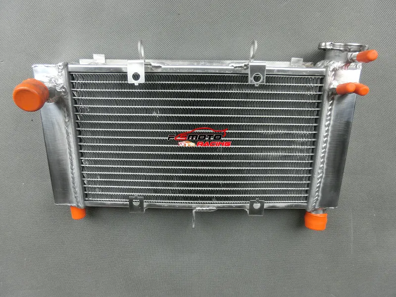 For YAMAHA FZ6 FZ6N FZ6-N FZ6S 2004-2010 2005 2006 2007 2008 2009 Aluminum Radiator
For YAMAHA FZ6 FZ6N FZ6-N FZ6S 2004-2010 2005 2006 2007 2008 2009 Aluminum Radiator