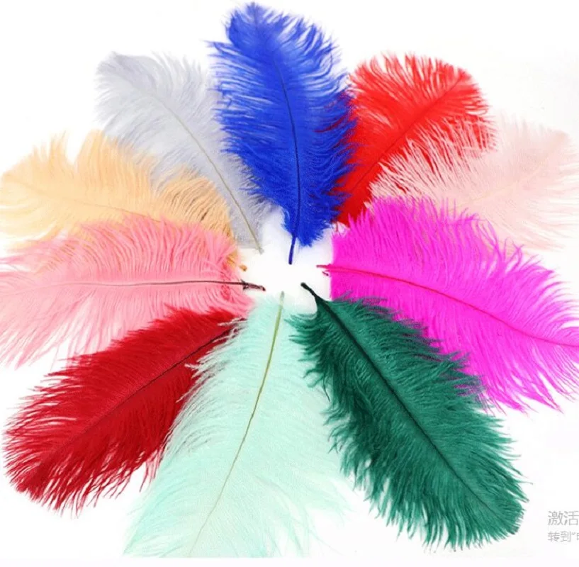 20pcs 15-20cm Ostrich Feather For Wedding Party Decoration DIY Apparel Sewing Clothing Bag Shoes Hats Headwear Performance Prop
20pcs 15-20cm Ostrich Feather For Wedding Party Decoration DIY Apparel Sewing Clothing Bag Shoes Hats Headwear Performance Prop