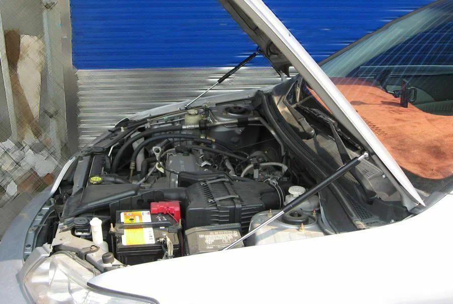 Газовые стойки капота Переднего Капота, амортизатор подъема, углеродное волокно для Mitsubishi Lancer 2001-2003 
Газовые стойки капота Переднего Капота, амортизатор подъема, углеродное волокно для Mitsubishi Lancer 2001-2003