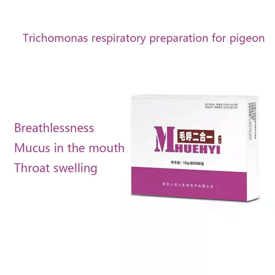 Pigeon with yellow mouth, asthma, throat, swelling, trichomoniasis, respiratory tract two-in-one racing pigeon
Pigeon with yellow mouth, asthma, throat, swelling, trichomoniasis, respiratory tract two-in-one racing pigeon