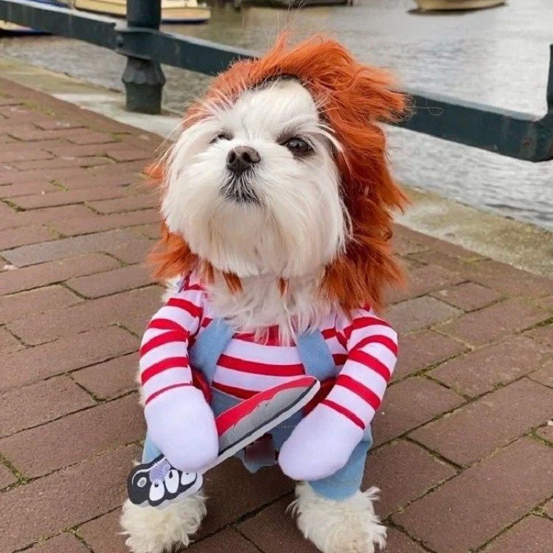 Funny Small Dog Clothes Sweatshirt Set Cosplay Big Suit Pet Cat Clothes Party Costume Face Cloth Comical Outfits Halloween Dress
Funny Small Dog Clothes Sweatshirt Set Cosplay Big Suit Pet Cat Clothes Party Costume Face Cloth Comical Outfits Halloween Dress