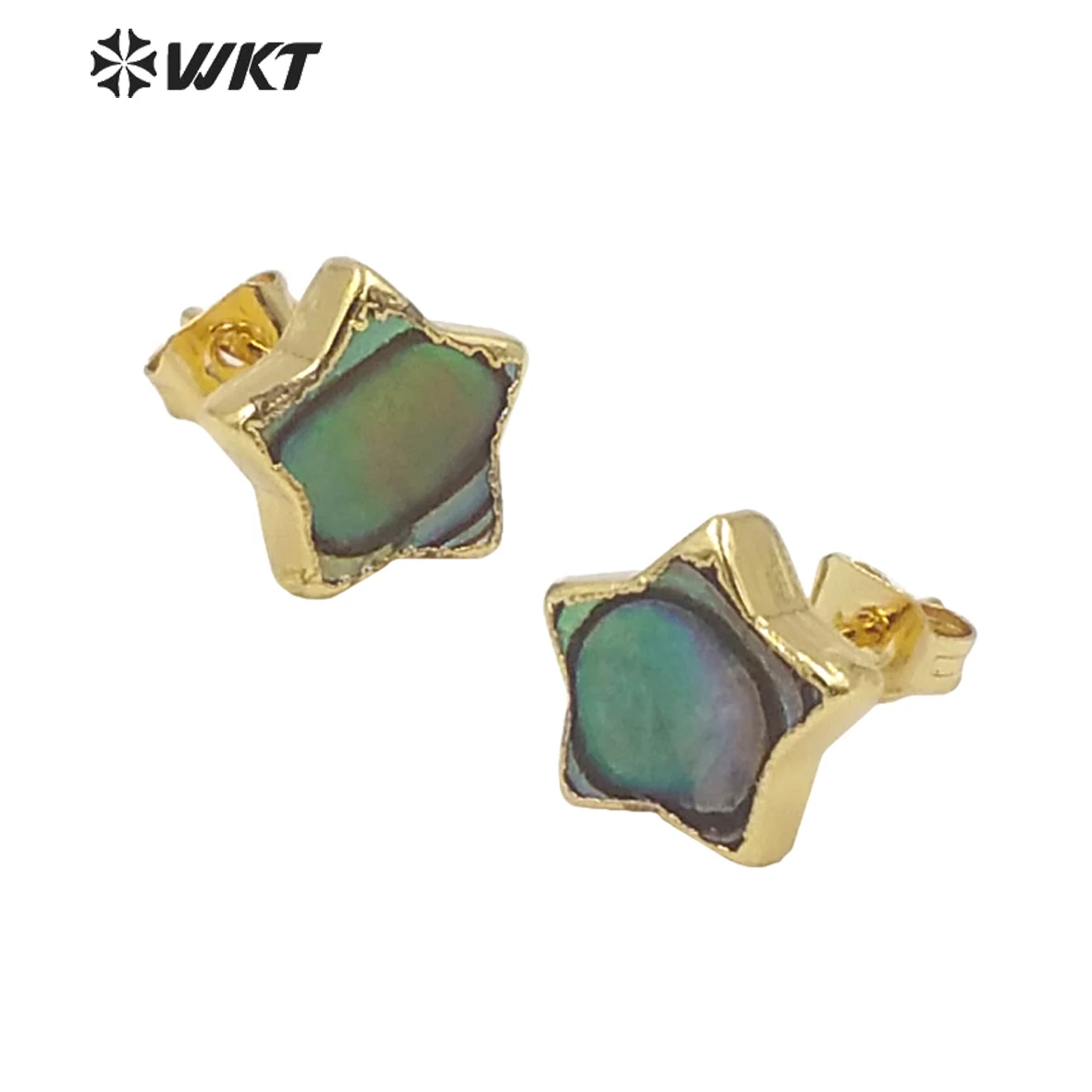 WT-E659 WKT Special Small Beautiful Natural Abalone Shell Stud Moon Star Shape Earrings 2023 Trend Jewelry For Lady
WT-E659 WKT Special Small Beautiful Natural Abalone Shell Stud Moon Star Shape Earrings 2023 Trend Jewelry For Lady