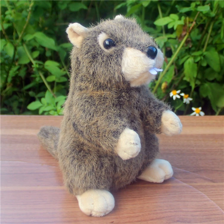 Новая игрушка-симулятор Marmota, плюшевая игрушка 21 см, маленькая мягкая кукла Marmota Squireel, детская игрушка, украшение, подарок на день рождения h1209
Новая игрушка-симулятор Marmota, плюшевая игрушка 21 см, маленькая мягкая кукла Marmota Squireel, детская игрушка, украшение, подарок на день рождения h1209