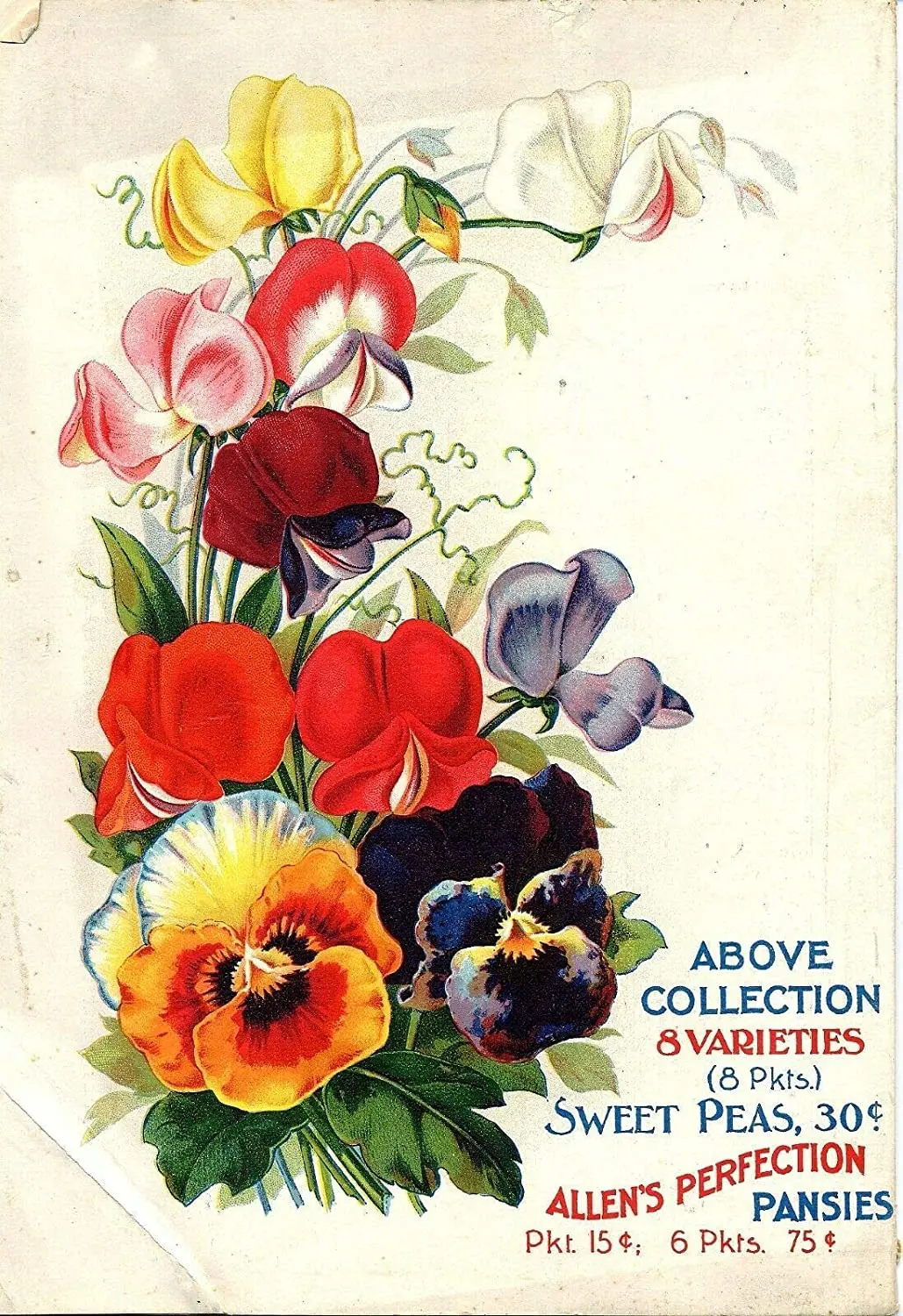 syplog Metal Tin Sign 1894 Sweet Peas Pansies Pub Outdoor Bar Retro Poster Home Kitchen Restaurant Wall Decor Signs 30x20cm
syplog Metal Tin Sign 1894 Sweet Peas Pansies Pub Outdoor Bar Retro Poster Home Kitchen Restaurant Wall Decor Signs 30x20cm