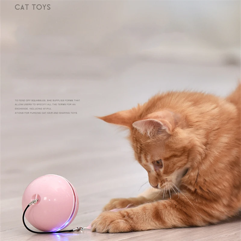 Cat Toy Interactive For Indoor Kittentraining Smart Self Rotating With Led Red Light Dog Automatic Self-Rotating Wicked Ball
Cat Toy Interactive For Indoor Kittentraining Smart Self Rotating With Led Red Light Dog Automatic Self-Rotating Wicked Ball