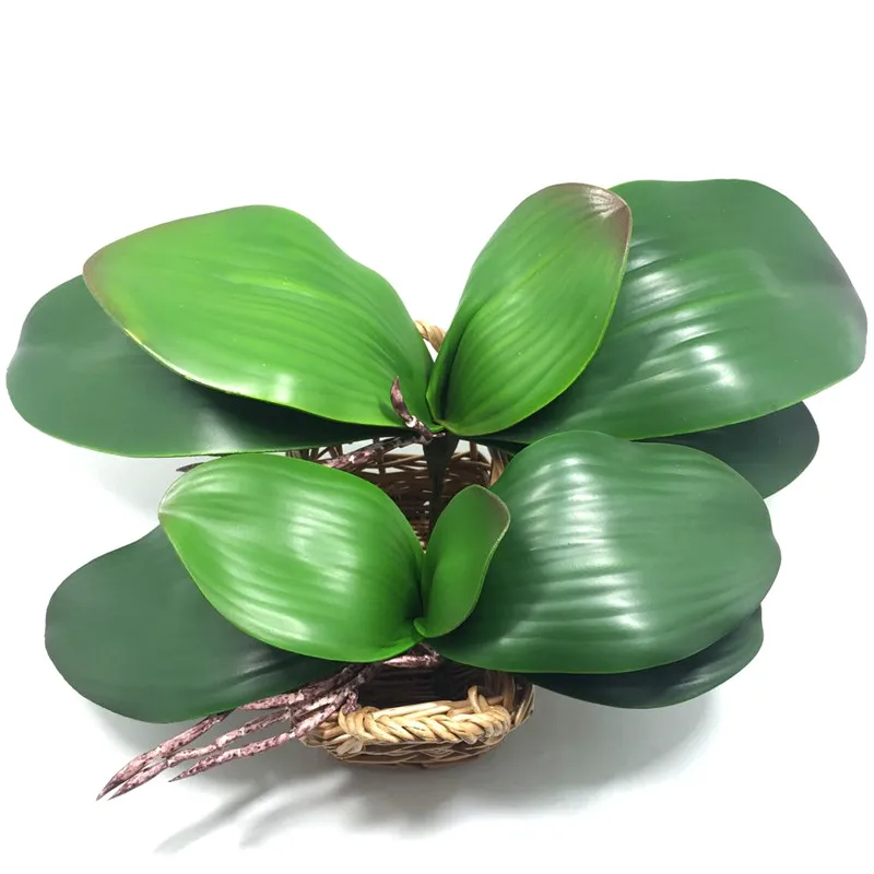 2017 new Artificial flower Orchid leaveshigh quality PU gluing texture leaves DIY potted flower arrangements
2017 new Artificial flower Orchid leaveshigh quality PU gluing texture leaves DIY potted flower arrangements