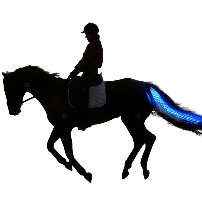 "Outdoor Sports Harness Equestrian Supplies Usb Charging Led Luminous Horsetail Lamp Decorative Lamp Band "
"Outdoor Sports Harness Equestrian Supplies Usb Charging Led Luminous Horsetail Lamp Decorative Lamp Band "