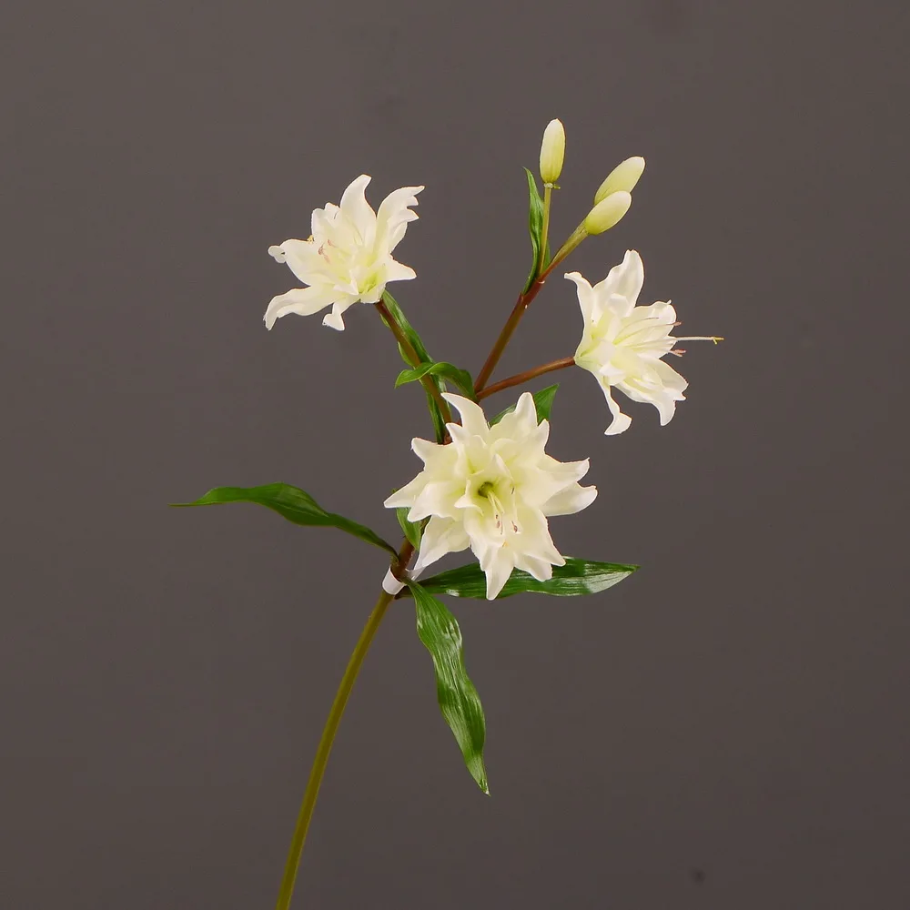 MBF High Quality Silk Lily Artificial Flowers For Wedding Bouquet Bridal Home Living Room Party Fake Flower Decoration
MBF High Quality Silk Lily Artificial Flowers For Wedding Bouquet Bridal Home Living Room Party Fake Flower Decoration