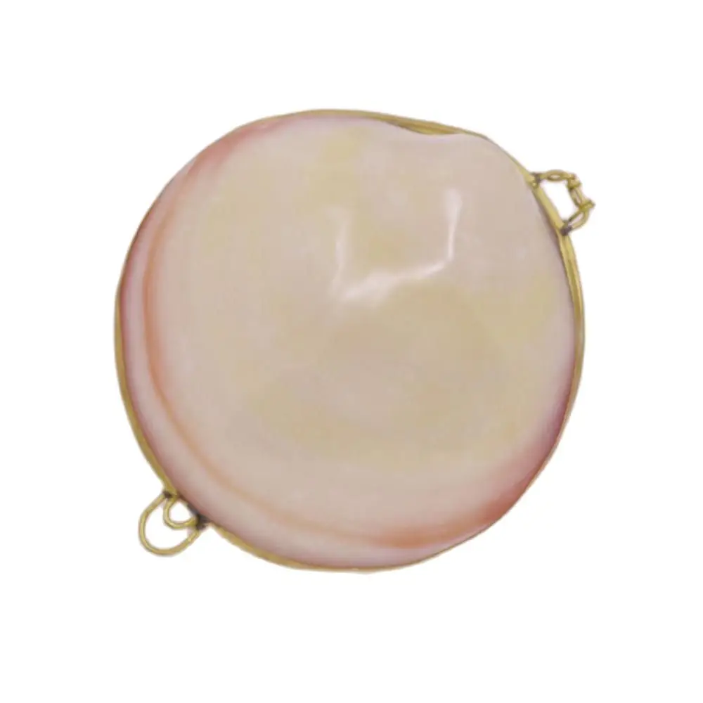 1 PCS 65mm-75mm Natural White Pink Mother of Pearl Smooth Clam Shell Box Jewelry Packaging
1 PCS 65mm-75mm Natural White Pink Mother of Pearl Smooth Clam Shell Box Jewelry Packaging
