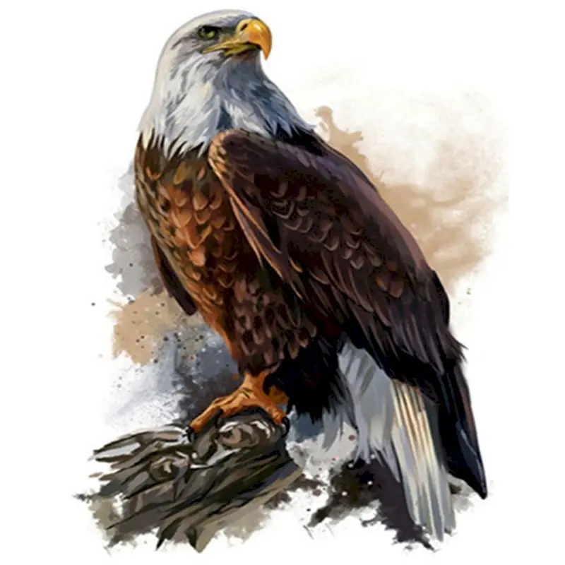 GATYZTORY 60x75cm Frame Diy Painting By Numbers Eagle Animals Acrylic Paint By Numbers Wall Canvas Painting For Home Decors
GATYZTORY 60x75cm Frame Diy Painting By Numbers Eagle Animals Acrylic Paint By Numbers Wall Canvas Painting For Home Decors
