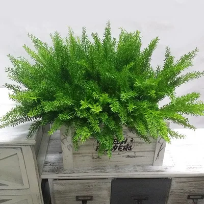 40cm5 Fork Artificial Grass Bunch Green Plastic Plant Leaves Indoor and Outdoor Flower Pot Material Fence Garden Home Decoration
40cm5 Fork Artificial Grass Bunch Green Plastic Plant Leaves Indoor and Outdoor Flower Pot Material Fence Garden Home Decoration