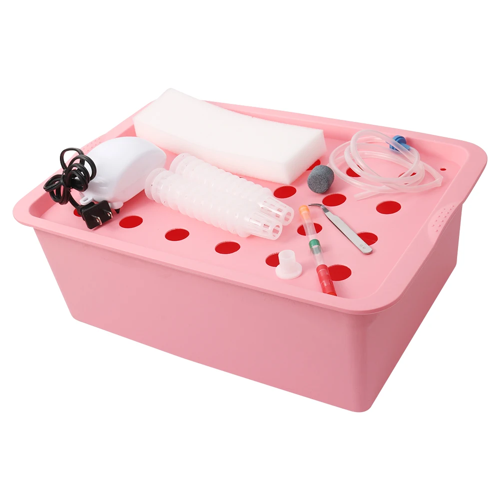 24 Cell Hydroponic Soilless Nursery Box With Air Pump Hydroponic System Plant Seedling Soilless Cultivation Plastic Growing Box
24 Cell Hydroponic Soilless Nursery Box With Air Pump Hydroponic System Plant Seedling Soilless Cultivation Plastic Growing Box