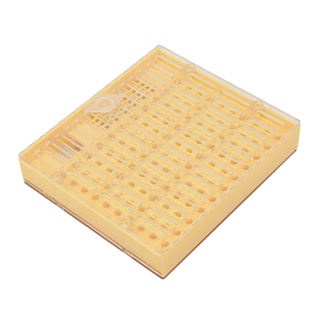 5 Pcs Rearing System For Beekeeping Equipment Tools Rearing Queen Bee System Plastic Box For Professional Beekeeper
5 Pcs Rearing System For Beekeeping Equipment Tools Rearing Queen Bee System Plastic Box For Professional Beekeeper