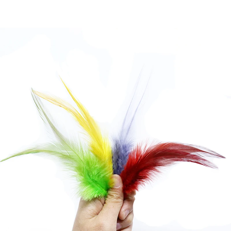 Variedad de plumas para materiales de pesca